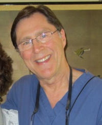 Dr. Steve D. Austin DDS