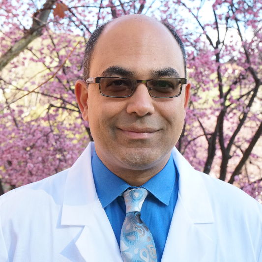 Dr. Arastou Aminzadeh M.D., Psychiatrist