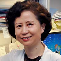 Yan Peng, MD, PhD, Pathologist | Anatomic Pathology & Clinical Pathology