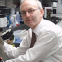 Dr. Stephen D Nimer MD
