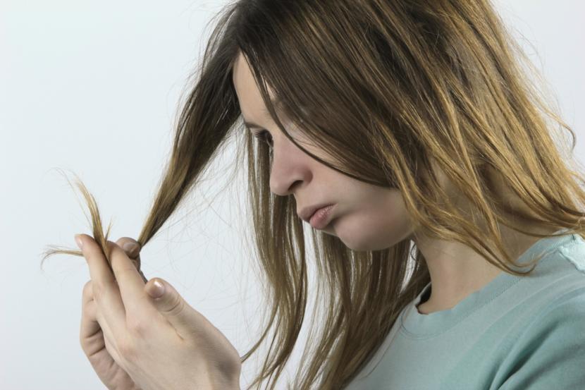 What Causes Head Lice?