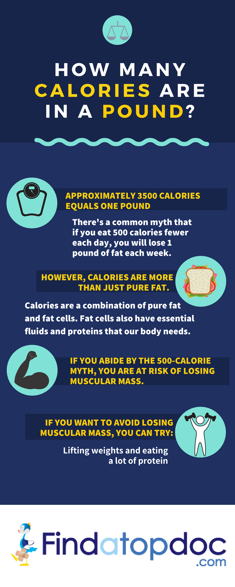 How Many Calories Are Needed Per Pound to Maintain a Body Weight