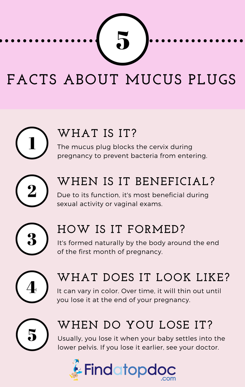 mucus plug in toilet