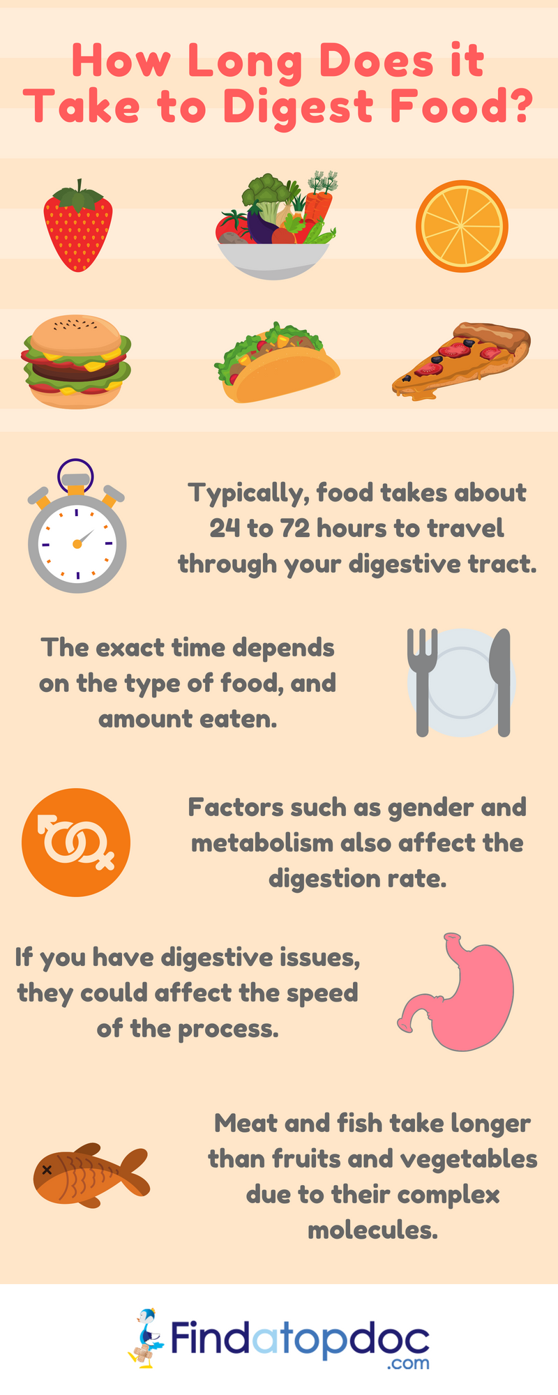 How Long Does It Take to Digest Food? - GoodRx
