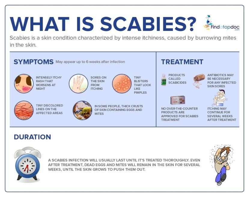 What Is Scabies Is Scabies Contagious And How Do You Get Scabies