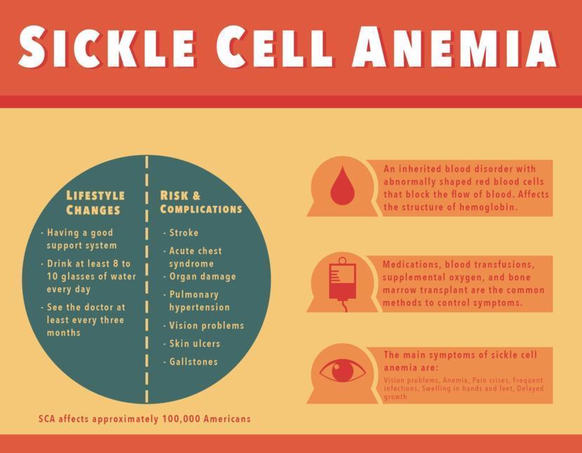 Sickle Cell Anemia Symptoms Treatment Causes And Inheritance Porn Sex