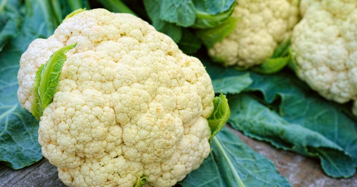 cauliflower-varieties-nutrition-facts-recipes-and-health-benefits