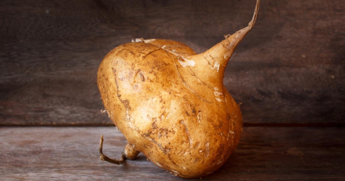 What Is Jicama Health Benefits and Weight Loss