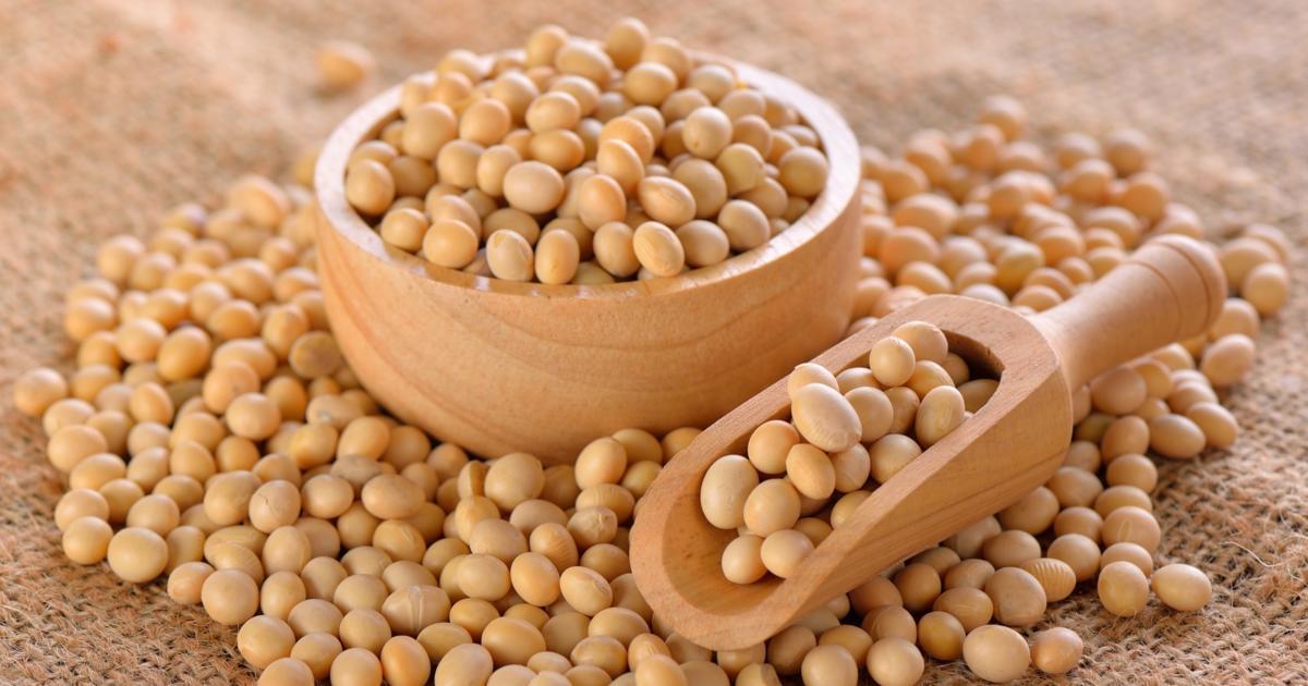 Soybeans | FindATopDoc