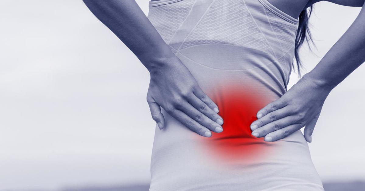 Low Back Pain Why It Hurts - Everything You Need To Know - Dr. Nabil  Ebraheim 