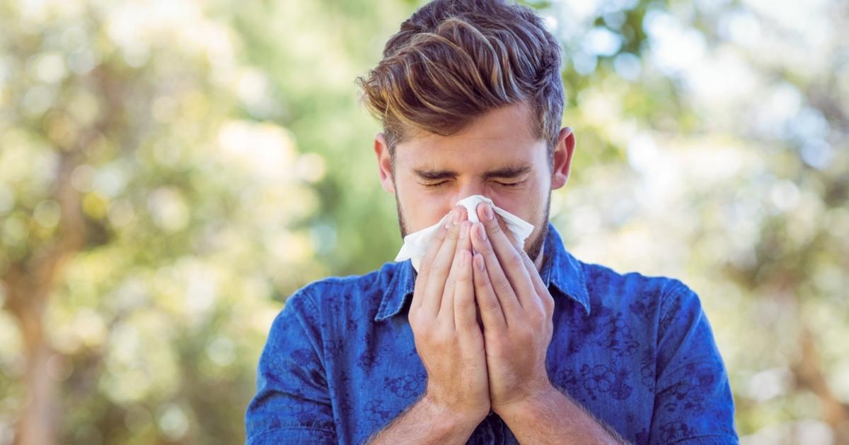 How Local Honey Treats Allergies