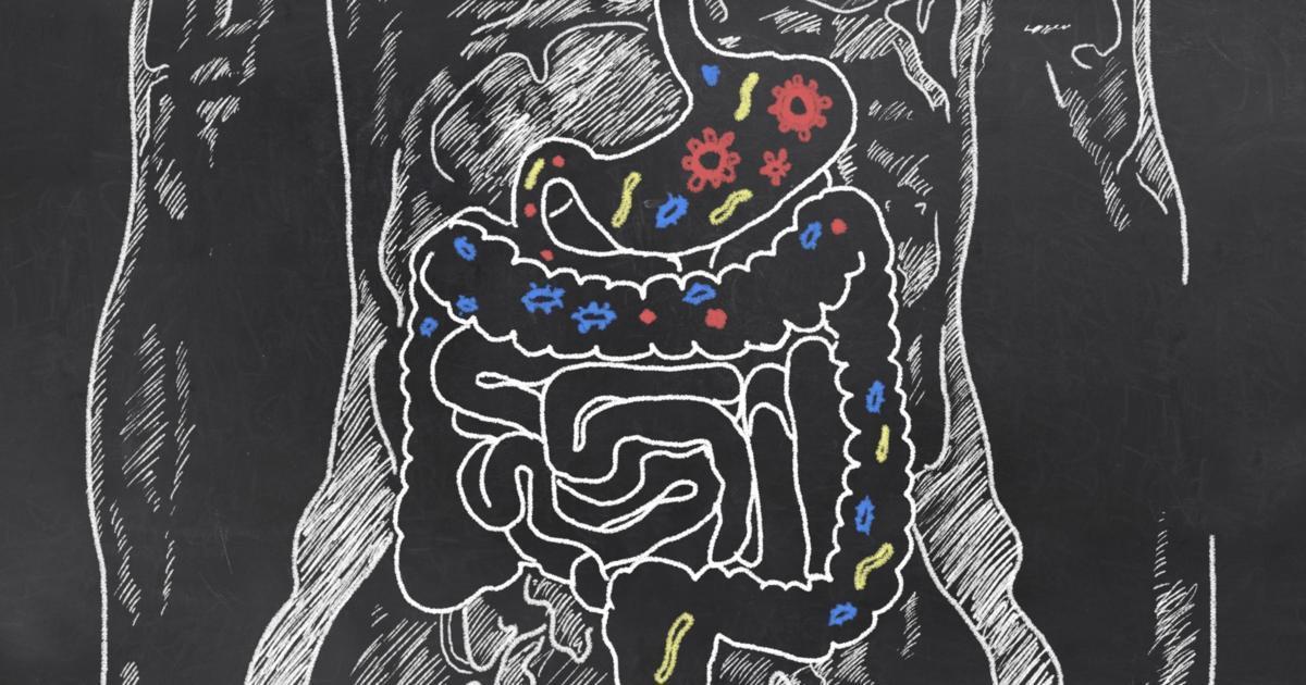Powerful Impact Gut Microbes Have on Overall Health and in Multiple