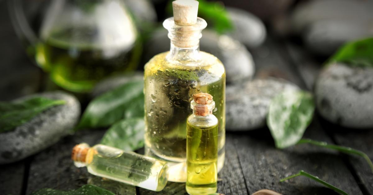 What are the Most Popular Uses for Tea Tree Oil?