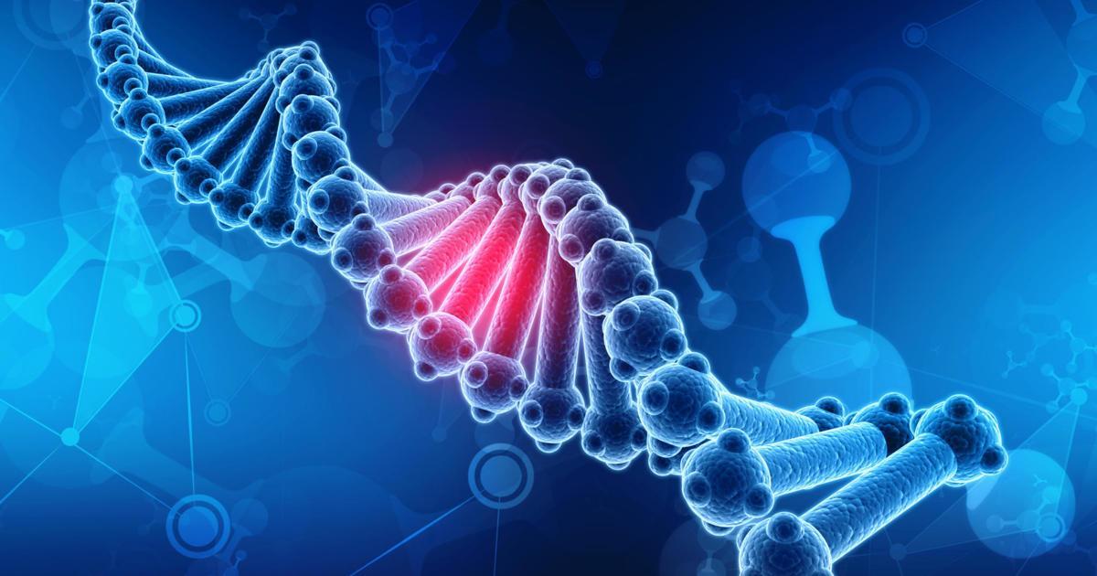 What is DNA Definition, Structure, Funtion & Discovery
