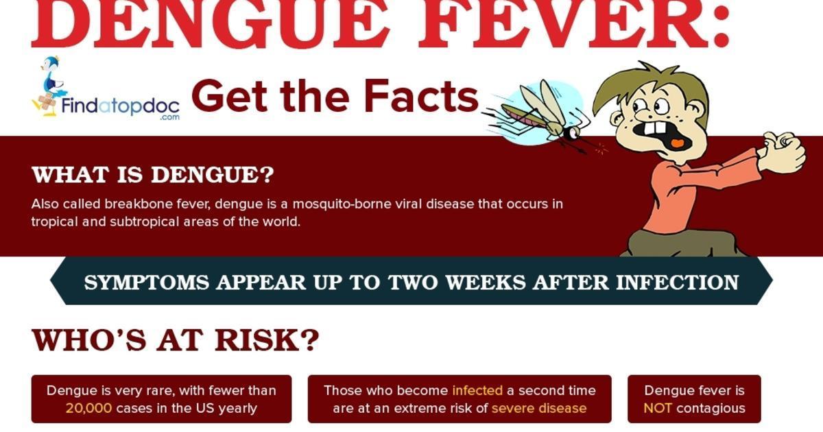 What Is Dengue Fever Ppt