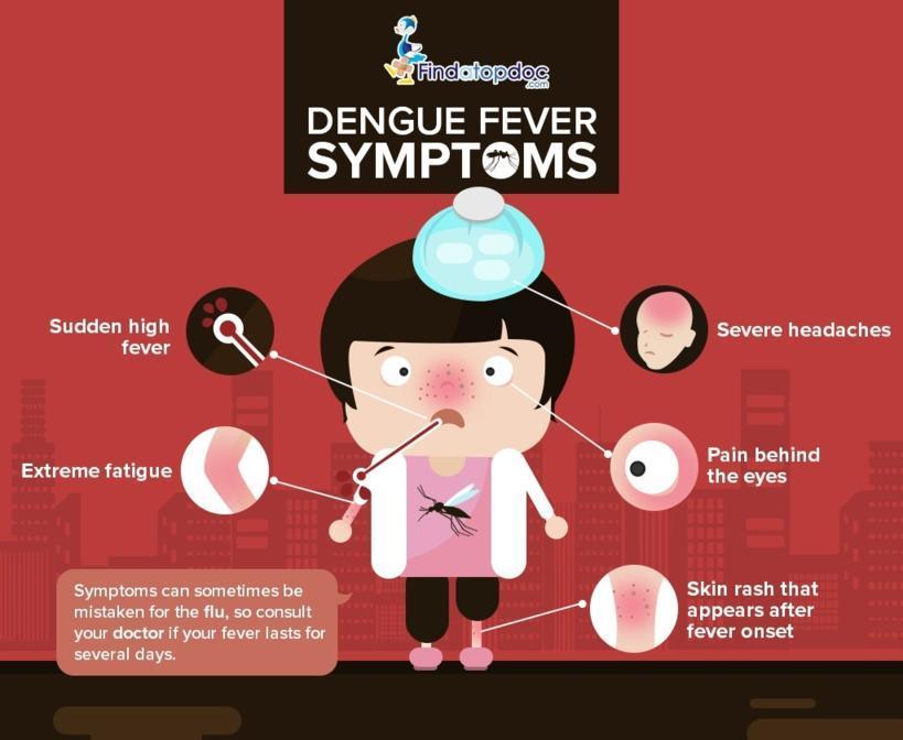 Dengue Fever Symptoms 