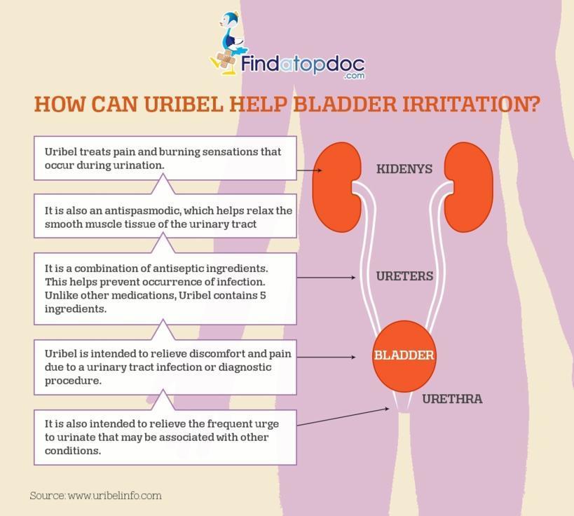 How Can Uribel Help Bladder Irritation Infographic