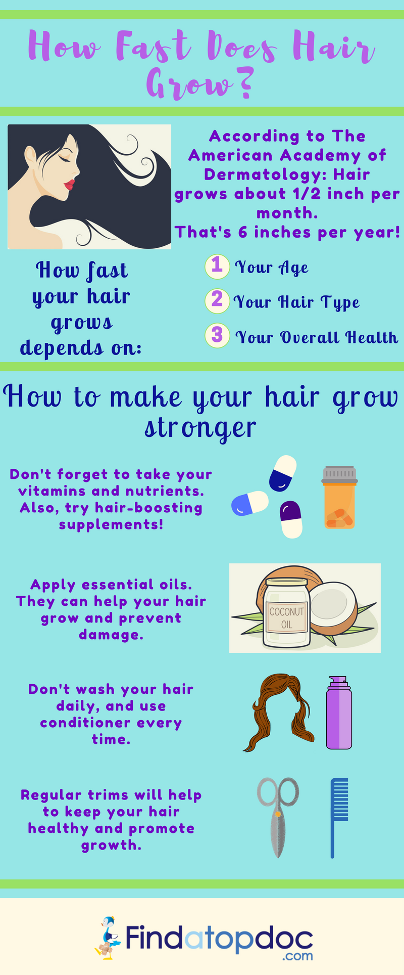 How Fast Does Hair Actually Grow Infographic 6918