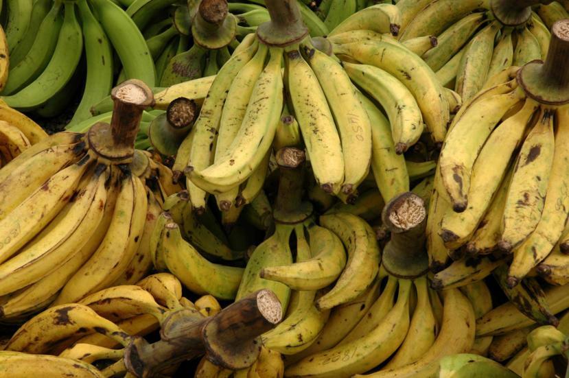 what-is-a-plantain-how-to-cook-plantains