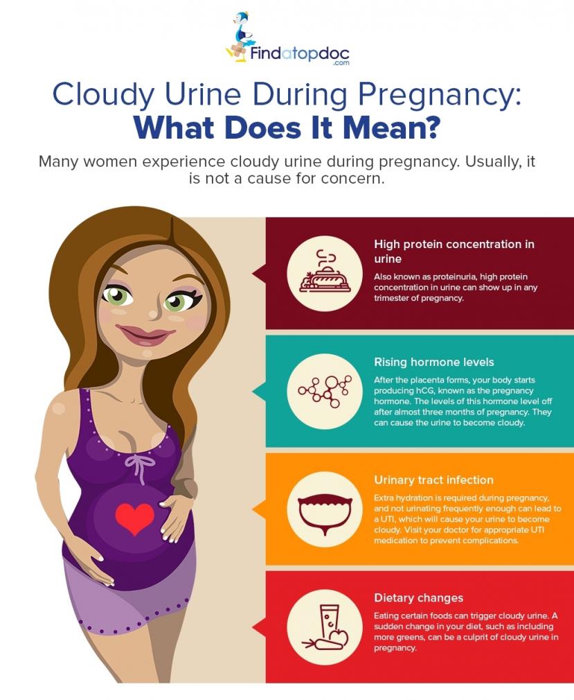 Is Cloudy Urine A Sign Of Pregnancy