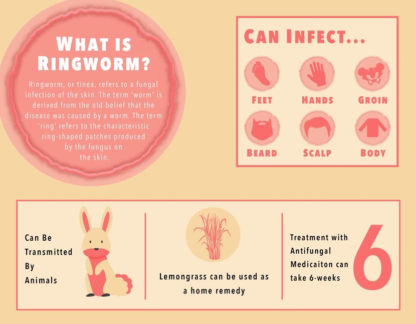 what-are-the-symptoms-of-ringworm